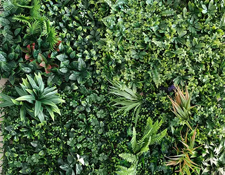 Piante artificiali