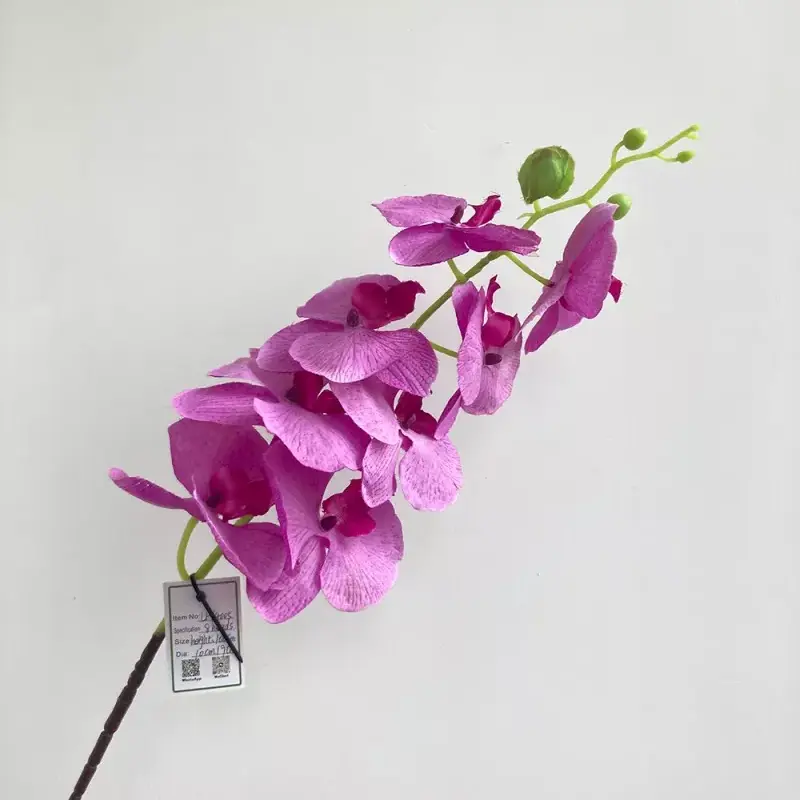 8 teste di seta orchidea artificiale