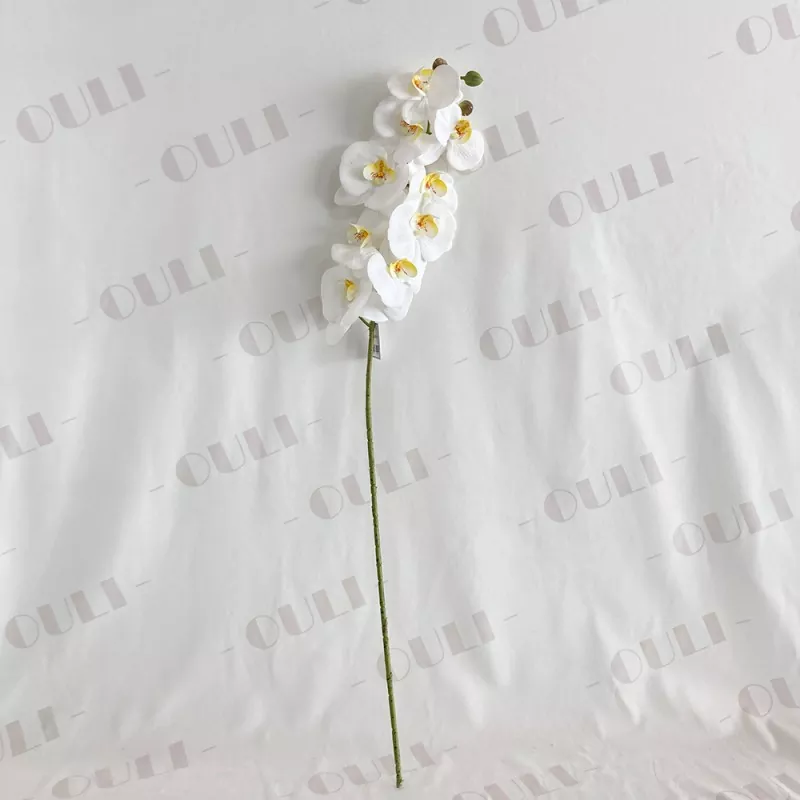 Vero touch Orchidea falsa