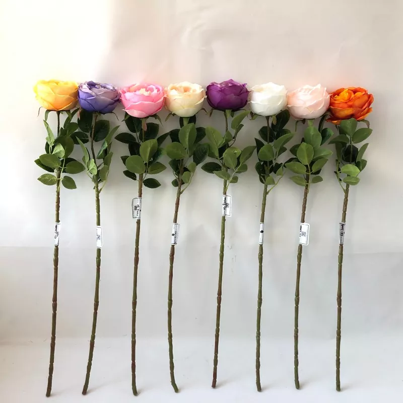 Fiori di peonia falsa bianca