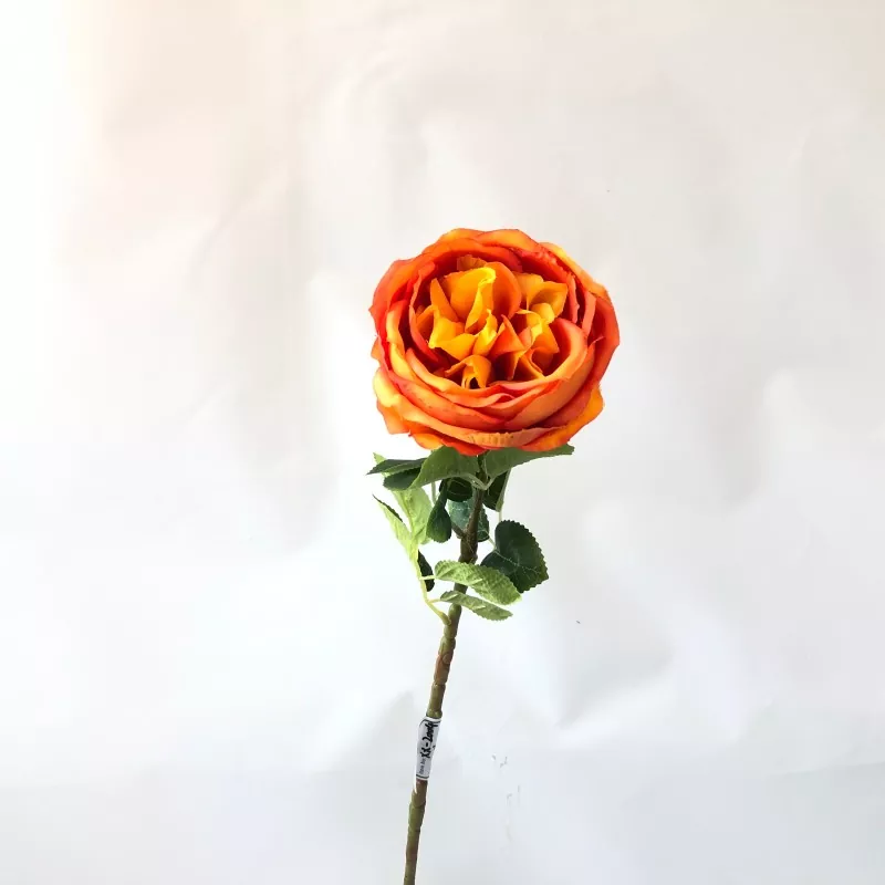 Fiori di peonia falsa bianca